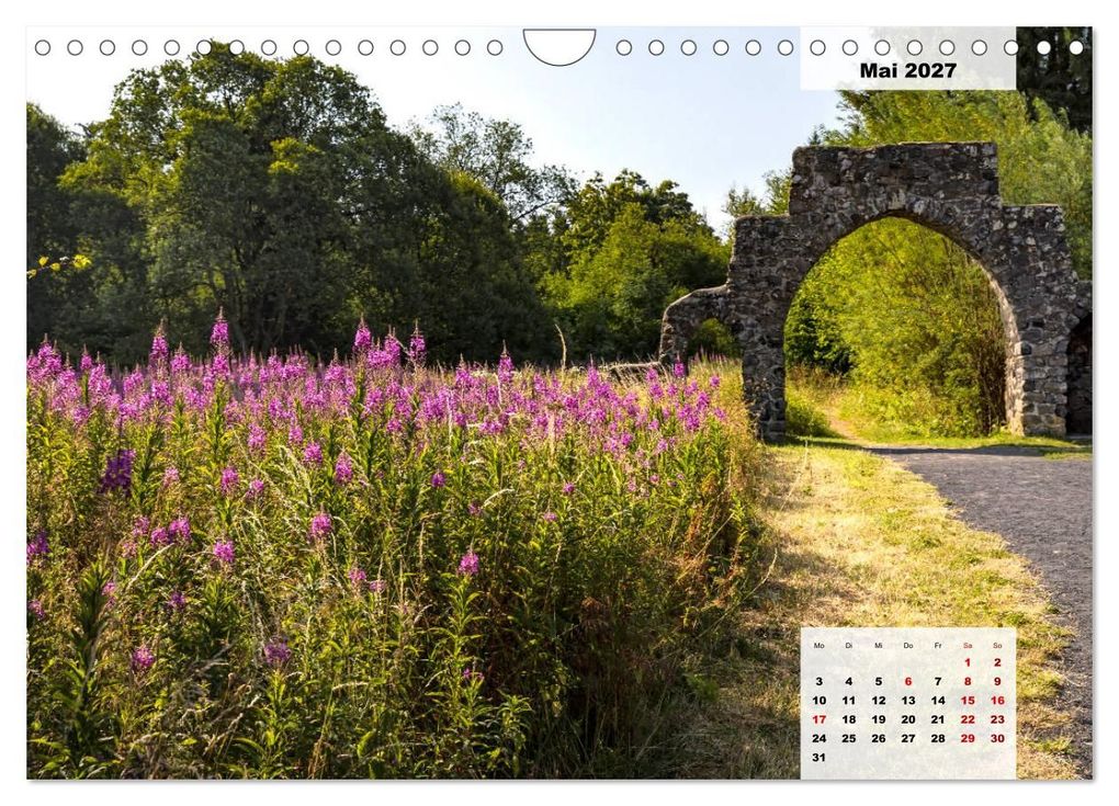 Weitere Ansicht: Rhöner Röschen - ein Sommermärchen in der Hochrhön (Wandkalender 2027 DIN A4 quer), CALVENDO Monatskalender | Hans Pfleger, Calvendo