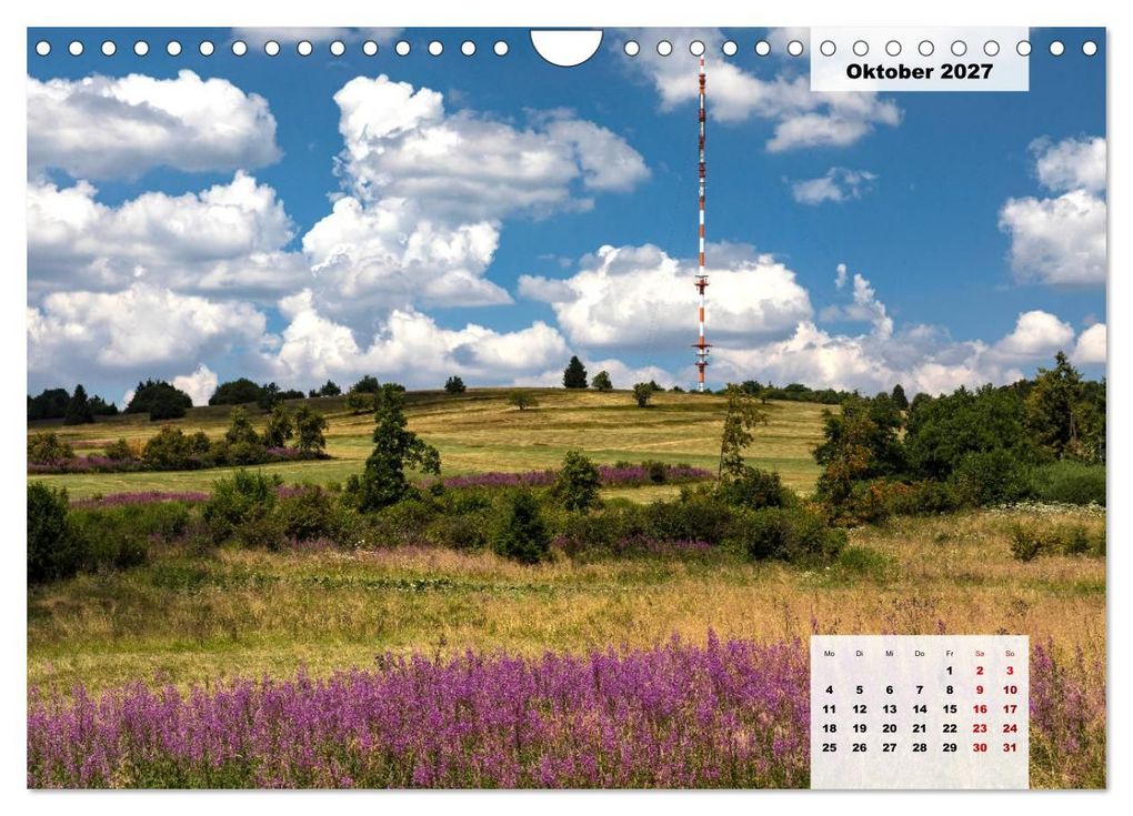Weitere Ansicht: Rhöner Röschen - ein Sommermärchen in der Hochrhön (Wandkalender 2027 DIN A4 quer), CALVENDO Monatskalender | Hans Pfleger, Calvendo