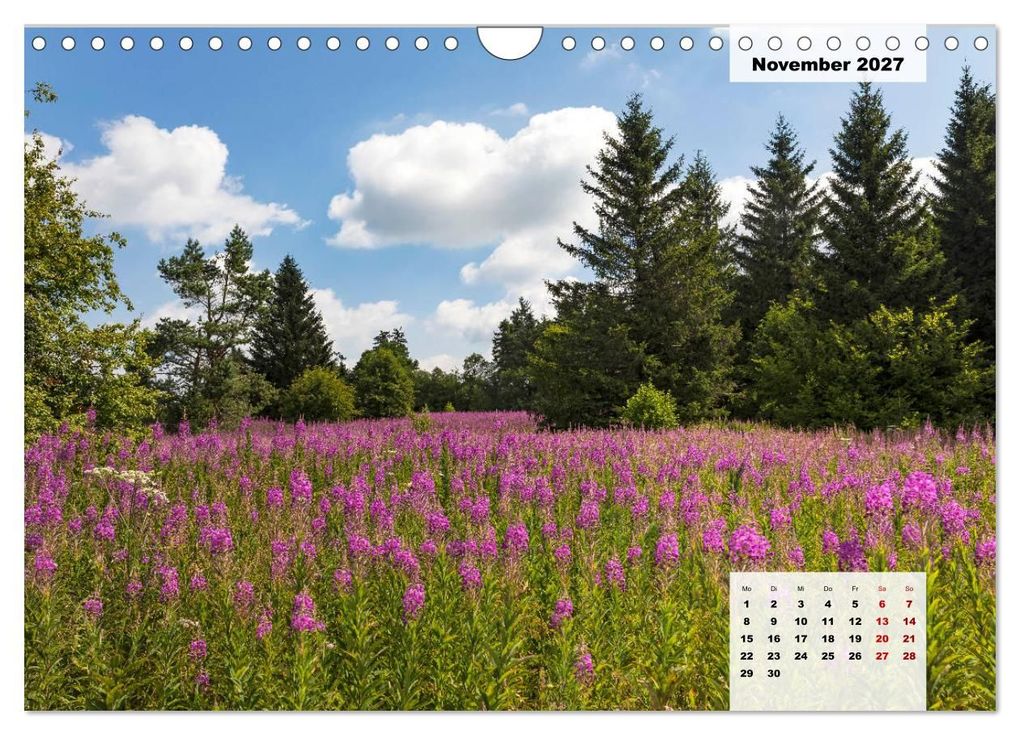 Weitere Ansicht: Rhöner Röschen - ein Sommermärchen in der Hochrhön (Wandkalender 2027 DIN A4 quer), CALVENDO Monatskalender | Hans Pfleger, Calvendo