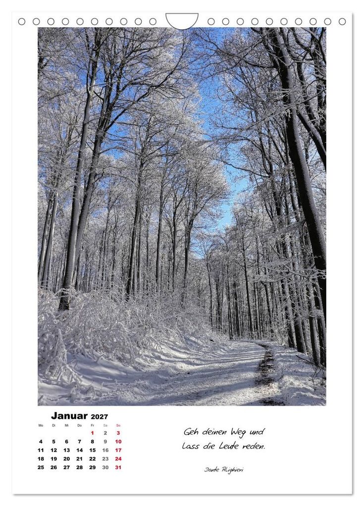 Weitere Ansicht: Wege durchs Jahr - Spaziergänge im schönen Nordhessen (Wandkalender 2027 DIN A4 hoch), CALVENDO Monatskalender | Sabine Löwer, Calvendo