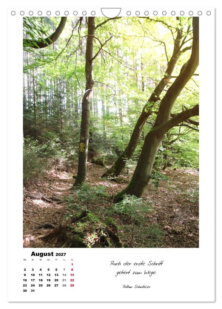 Weitere Ansicht: Wege durchs Jahr - Spaziergänge im schönen Nordhessen (Wandkalender 2027 DIN A4 hoch), CALVENDO Monatskalender | Sabine Löwer, Calvendo