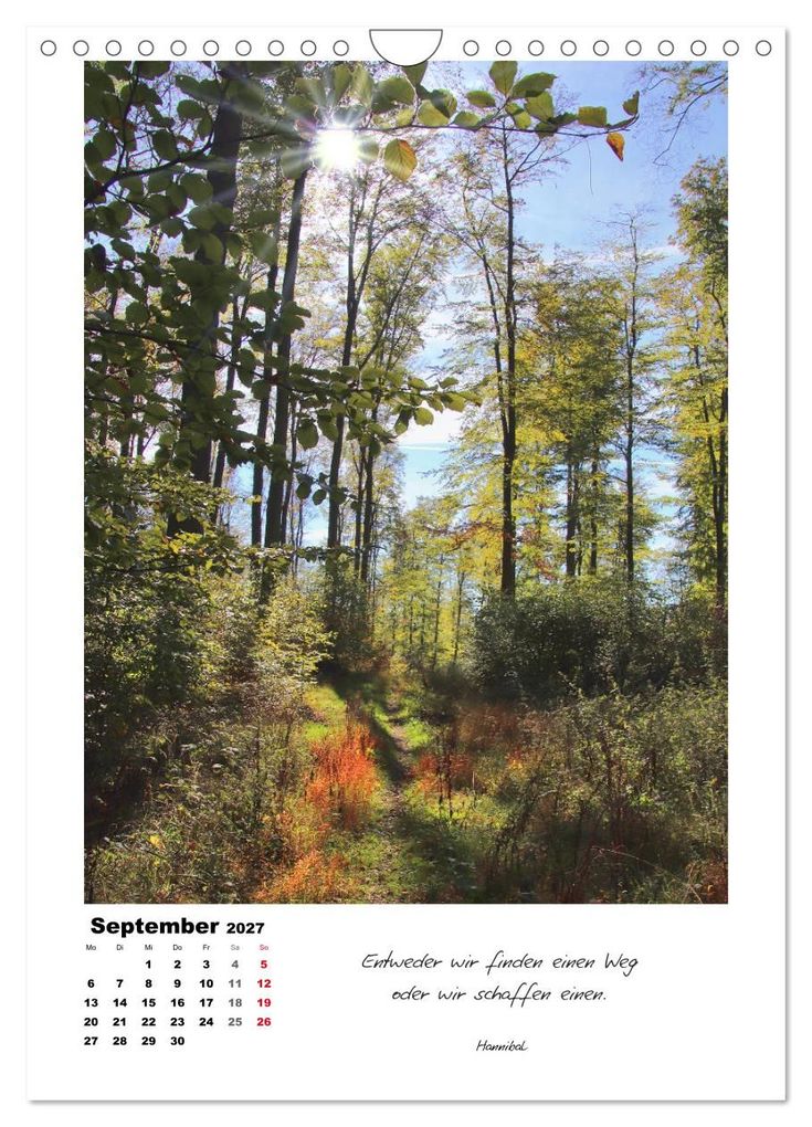Weitere Ansicht: Wege durchs Jahr - Spaziergänge im schönen Nordhessen (Wandkalender 2027 DIN A4 hoch), CALVENDO Monatskalender | Sabine Löwer, Calvendo