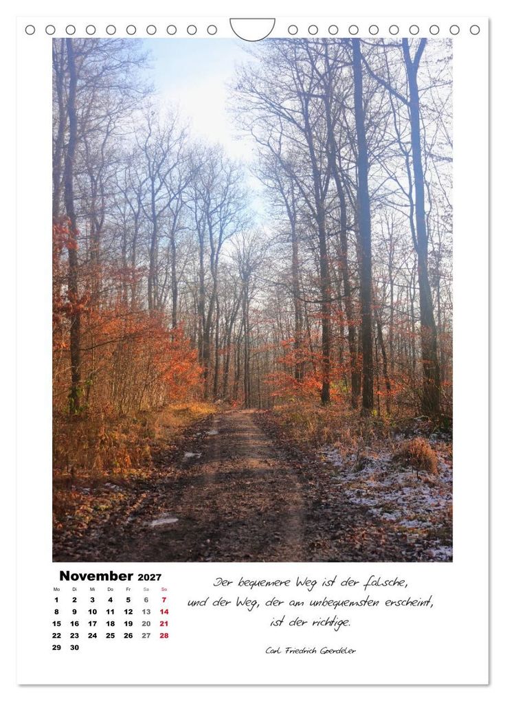 Weitere Ansicht: Wege durchs Jahr - Spaziergänge im schönen Nordhessen (Wandkalender 2027 DIN A4 hoch), CALVENDO Monatskalender | Sabine Löwer, Calvendo