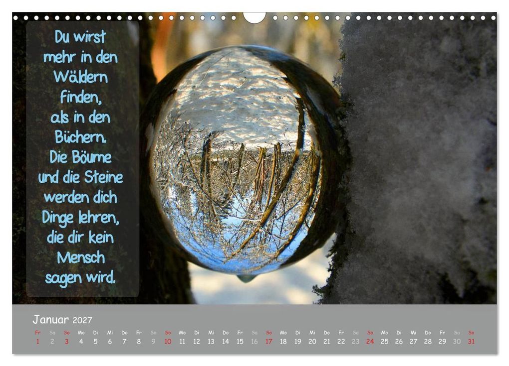 Weitere Ansicht: Wunderbare Waldkugeln (Wandkalender 2027 DIN A3 quer), CALVENDO Monatskalender | Ilona Stark-Hahn, Calvendo