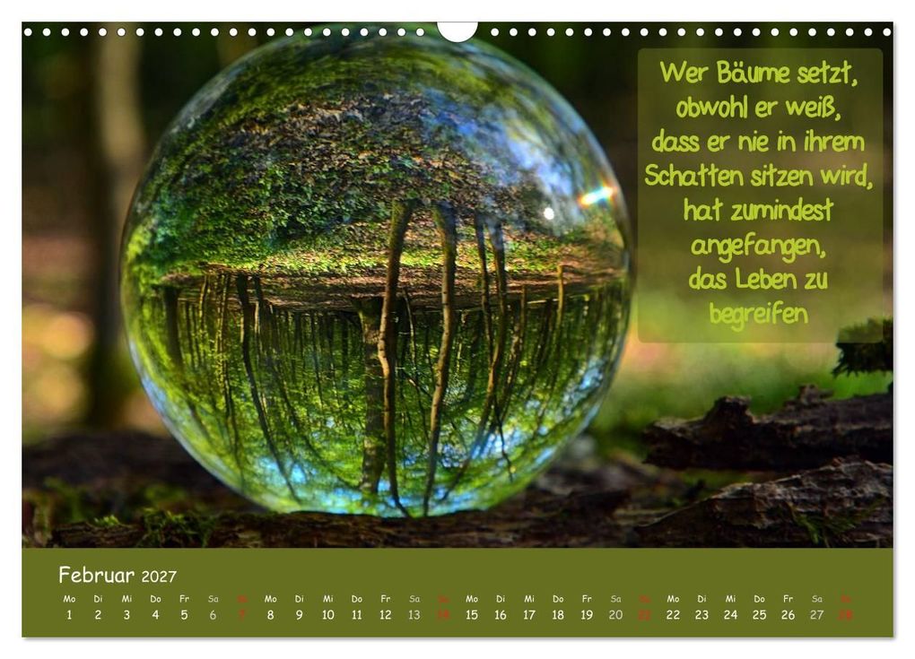 Weitere Ansicht: Wunderbare Waldkugeln (Wandkalender 2027 DIN A3 quer), CALVENDO Monatskalender | Ilona Stark-Hahn, Calvendo
