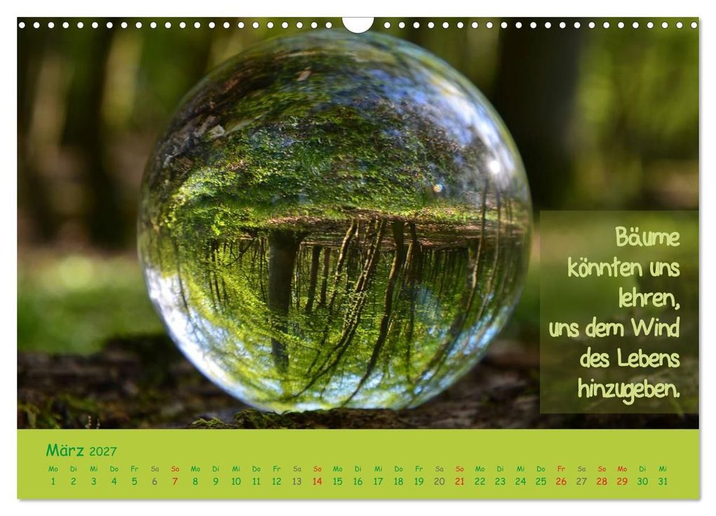 Weitere Ansicht: Wunderbare Waldkugeln (Wandkalender 2027 DIN A3 quer), CALVENDO Monatskalender | Ilona Stark-Hahn, Calvendo