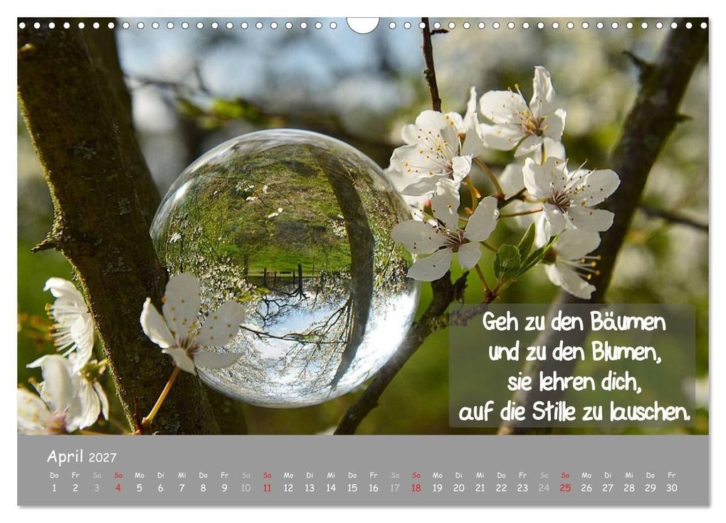 Weitere Ansicht: Wunderbare Waldkugeln (Wandkalender 2027 DIN A3 quer), CALVENDO Monatskalender | Ilona Stark-Hahn, Calvendo