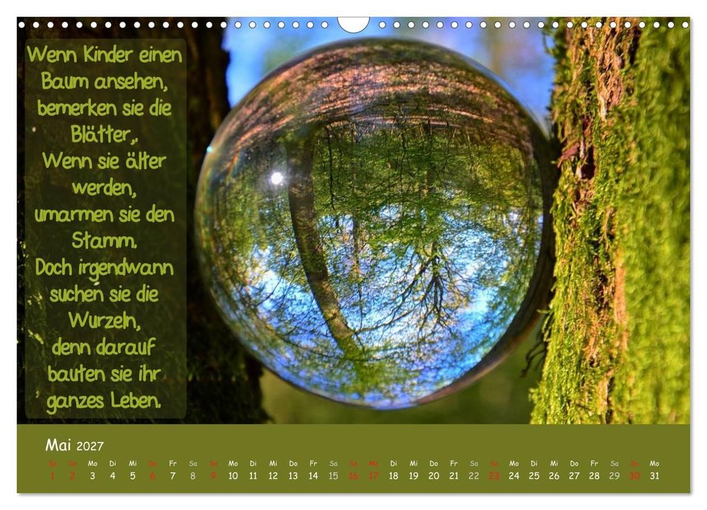 Weitere Ansicht: Wunderbare Waldkugeln (Wandkalender 2027 DIN A3 quer), CALVENDO Monatskalender | Ilona Stark-Hahn, Calvendo