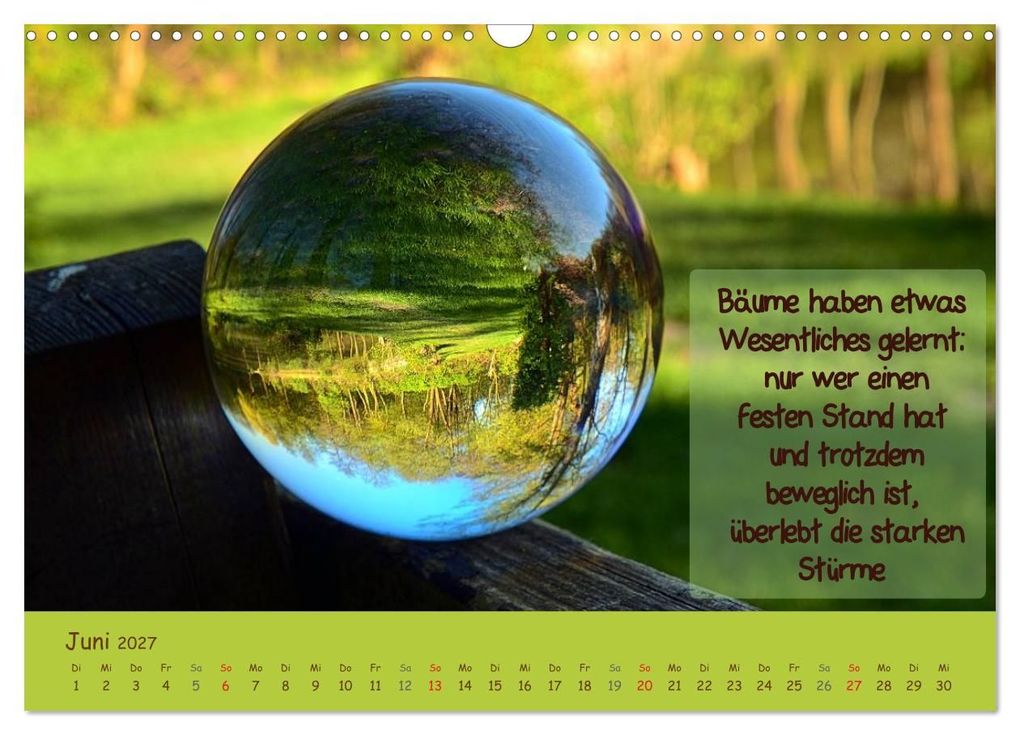 Weitere Ansicht: Wunderbare Waldkugeln (Wandkalender 2027 DIN A3 quer), CALVENDO Monatskalender | Ilona Stark-Hahn, Calvendo