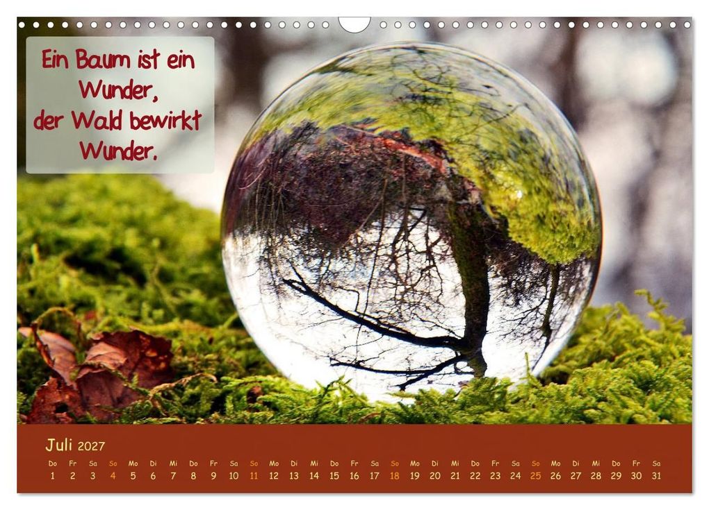 Weitere Ansicht: Wunderbare Waldkugeln (Wandkalender 2027 DIN A3 quer), CALVENDO Monatskalender | Ilona Stark-Hahn, Calvendo