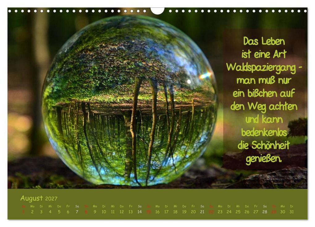 Weitere Ansicht: Wunderbare Waldkugeln (Wandkalender 2027 DIN A3 quer), CALVENDO Monatskalender | Ilona Stark-Hahn, Calvendo