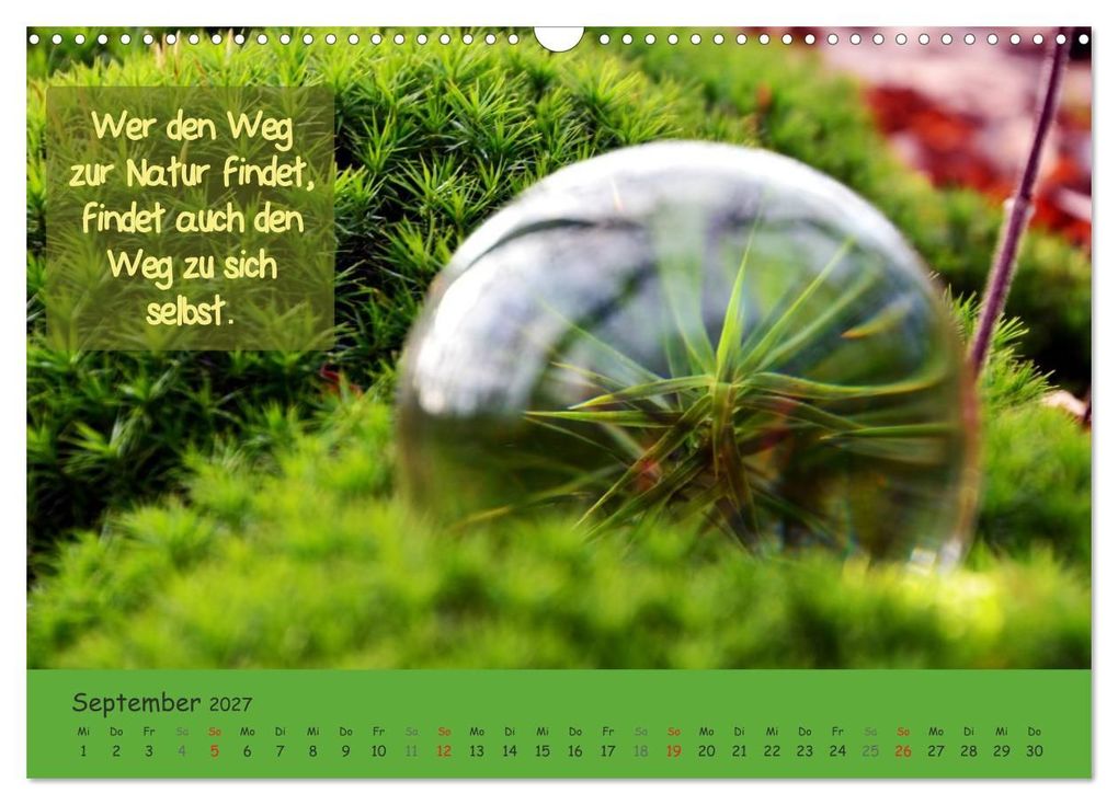 Weitere Ansicht: Wunderbare Waldkugeln (Wandkalender 2027 DIN A3 quer), CALVENDO Monatskalender | Ilona Stark-Hahn, Calvendo