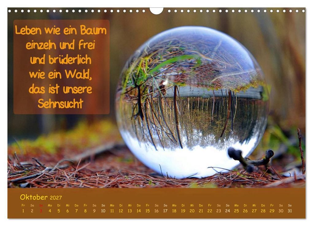 Weitere Ansicht: Wunderbare Waldkugeln (Wandkalender 2027 DIN A3 quer), CALVENDO Monatskalender | Ilona Stark-Hahn, Calvendo