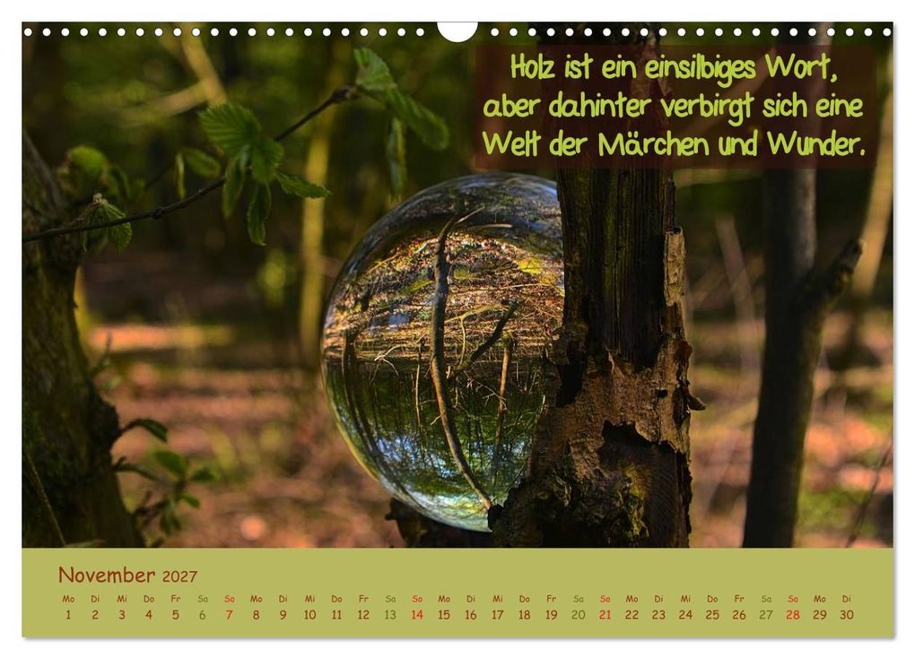 Weitere Ansicht: Wunderbare Waldkugeln (Wandkalender 2027 DIN A3 quer), CALVENDO Monatskalender | Ilona Stark-Hahn, Calvendo