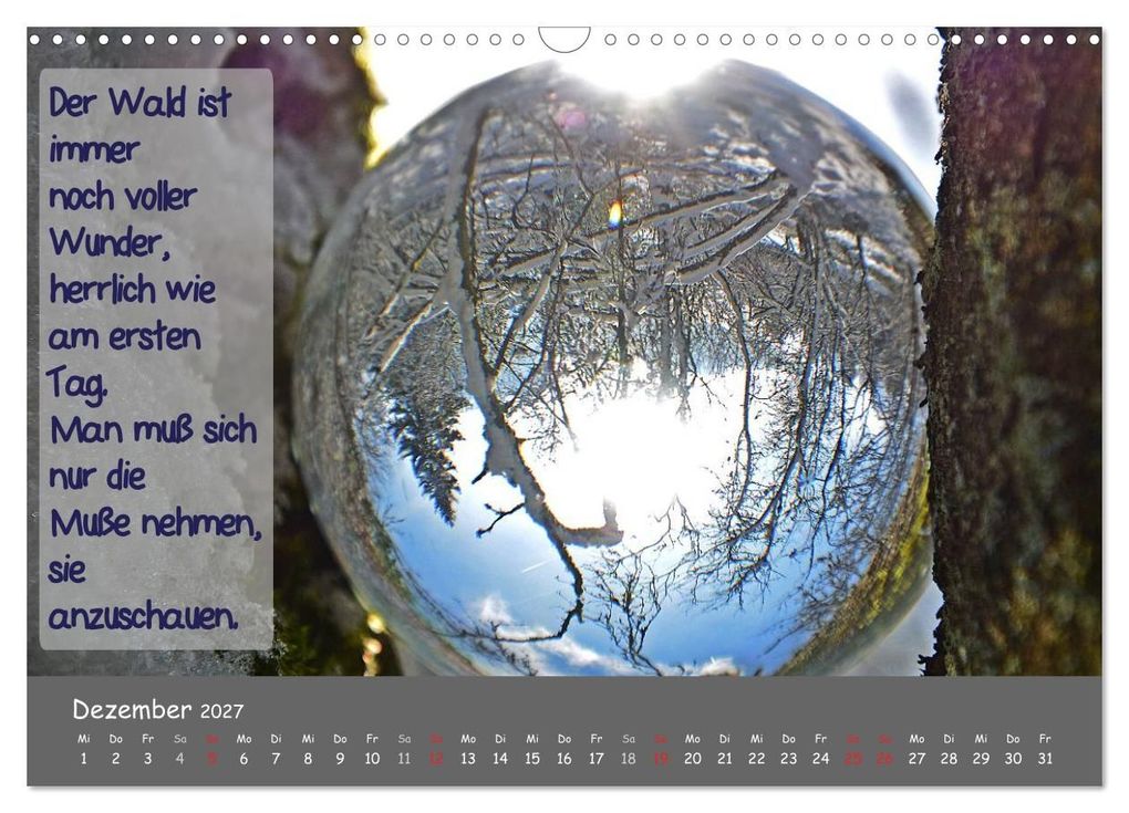 Weitere Ansicht: Wunderbare Waldkugeln (Wandkalender 2027 DIN A3 quer), CALVENDO Monatskalender | Ilona Stark-Hahn, Calvendo