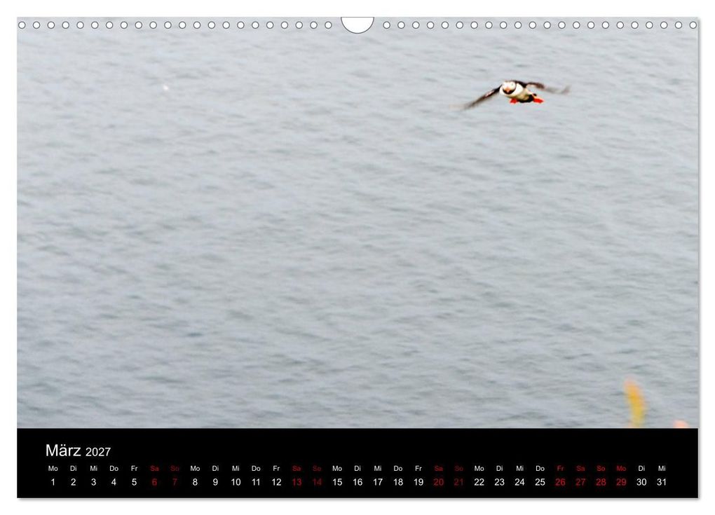Weitere Ansicht: Puffins - Vögel des Nordens (Wandkalender 2027 DIN A3 quer), CALVENDO Monatskalender | Geertje Jacob, Calvendo