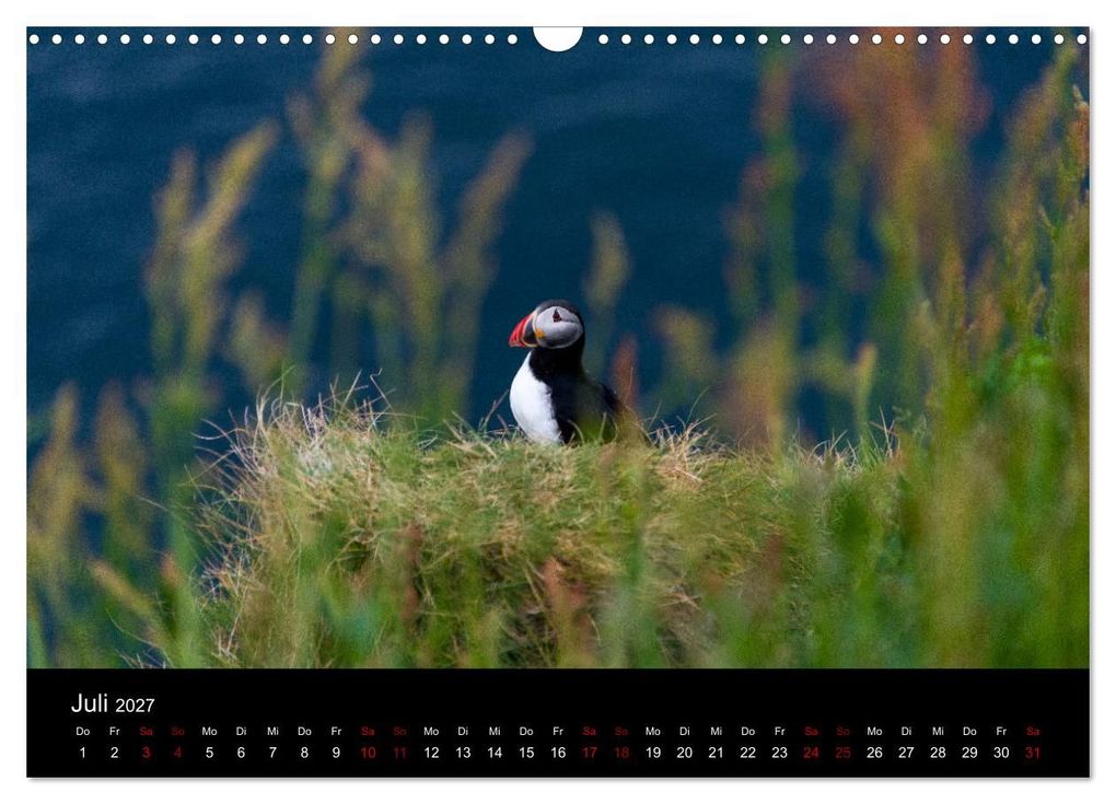 Weitere Ansicht: Puffins - Vögel des Nordens (Wandkalender 2027 DIN A3 quer), CALVENDO Monatskalender | Geertje Jacob, Calvendo