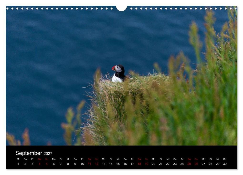 Weitere Ansicht: Puffins - Vögel des Nordens (Wandkalender 2027 DIN A3 quer), CALVENDO Monatskalender | Geertje Jacob, Calvendo