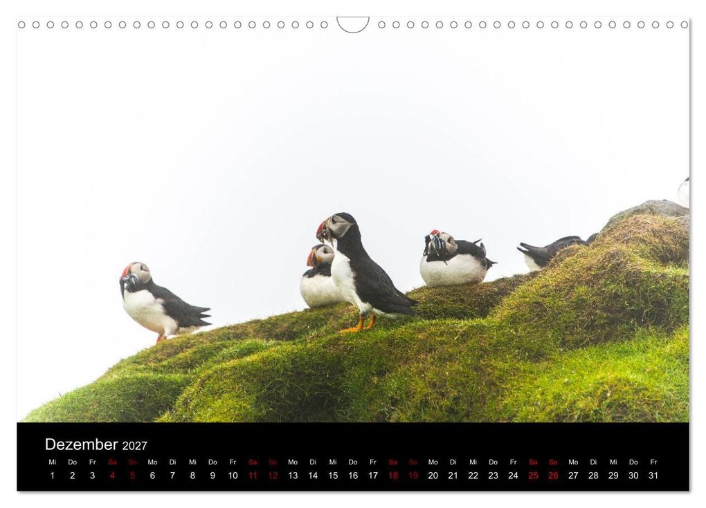 Weitere Ansicht: Puffins - Vögel des Nordens (Wandkalender 2027 DIN A3 quer), CALVENDO Monatskalender | Geertje Jacob, Calvendo