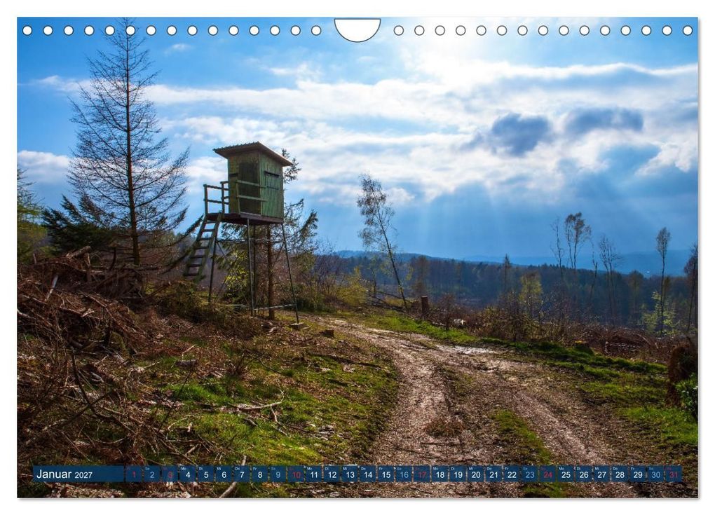 Weitere Ansicht: Unser Wald Stirbt (Wandkalender 2027 DIN A4 quer), CALVENDO Monatskalender | Tanja Riedel, Calvendo