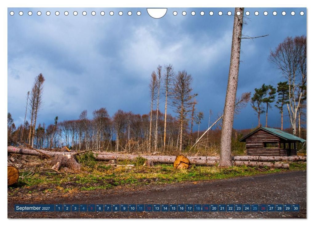 Weitere Ansicht: Unser Wald Stirbt (Wandkalender 2027 DIN A4 quer), CALVENDO Monatskalender | Tanja Riedel, Calvendo