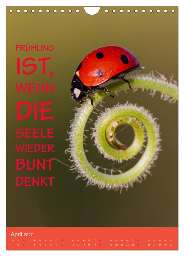 Weitere Ansicht: Die vier Jahreszeiten begleitet mit Sprüchen (Wandkalender 2027 DIN A4 hoch), CALVENDO Monatskalender | Susan Michel, Calvendo
