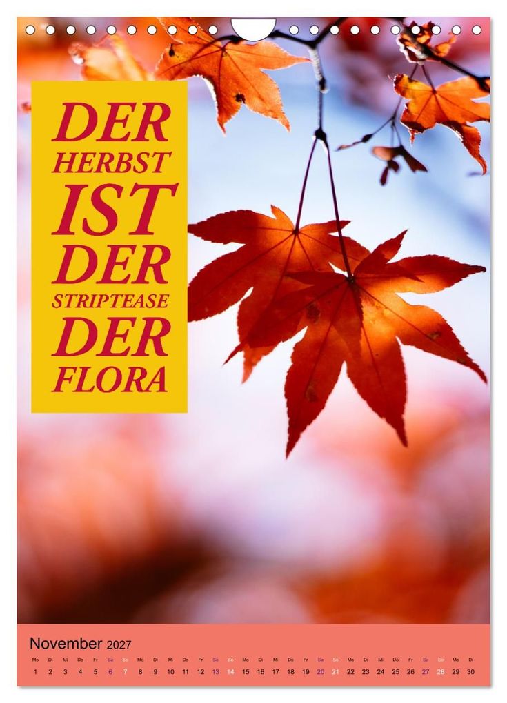 Weitere Ansicht: Die vier Jahreszeiten begleitet mit Sprüchen (Wandkalender 2027 DIN A4 hoch), CALVENDO Monatskalender | Susan Michel, Calvendo