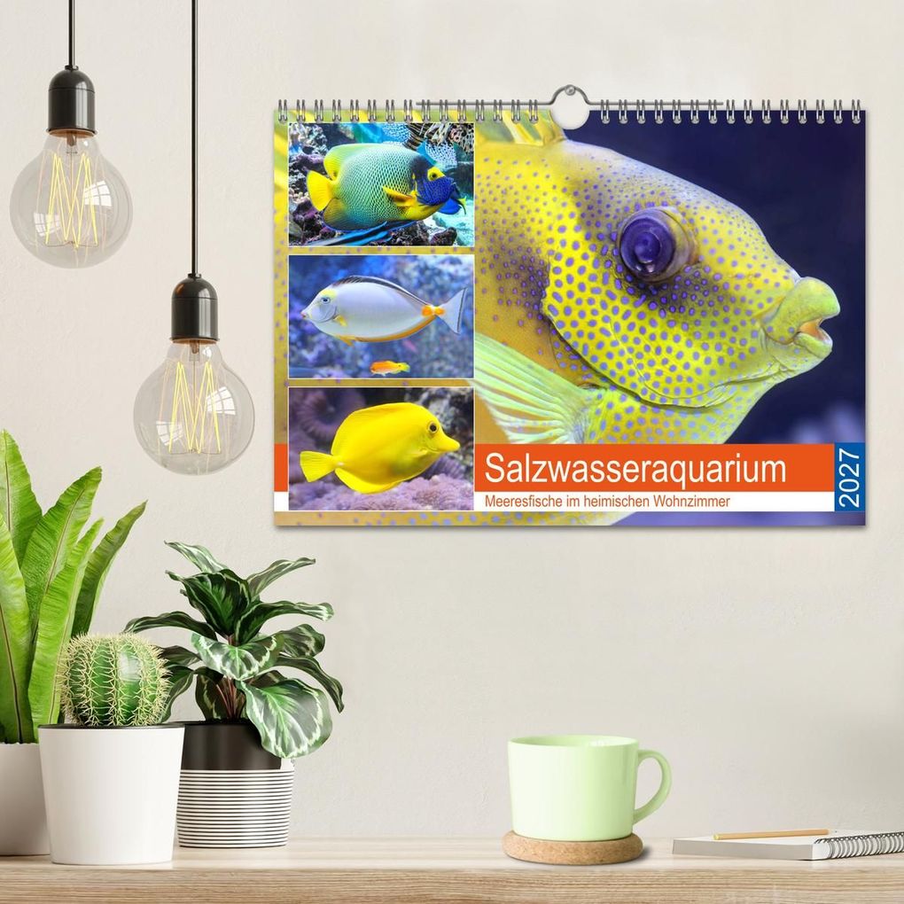 Weitere Ansicht: Salzwasseraquarium. Meeresfische im heimischen Wohnzimmer (Wandkalender 2027 DIN A4 quer), CALVENDO Monatskalender | Rose Hurley, Calvendo