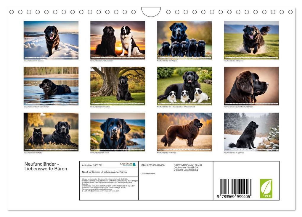 Weitere Ansicht: Neufundländer - Liebenswerte Bären (Wandkalender 2027 DIN A4 quer), CALVENDO Monatskalender | Claudia Kleemann, Calvendo