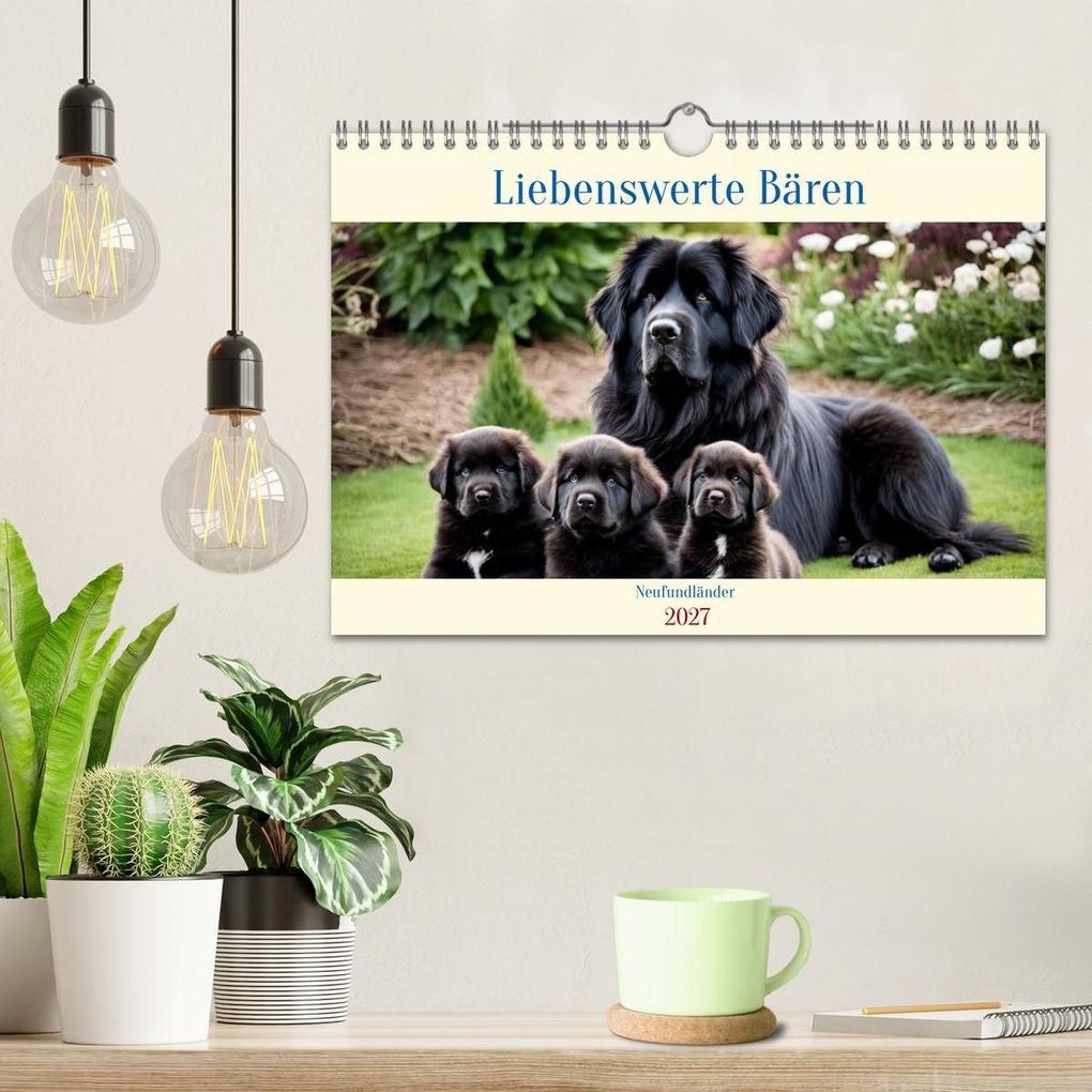 Weitere Ansicht: Neufundländer - Liebenswerte Bären (Wandkalender 2027 DIN A4 quer), CALVENDO Monatskalender | Claudia Kleemann, Calvendo
