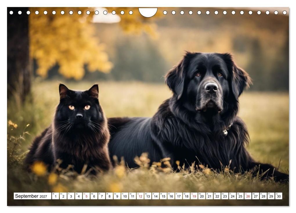 Weitere Ansicht: Neufundländer - Liebenswerte Bären (Wandkalender 2027 DIN A4 quer), CALVENDO Monatskalender | Claudia Kleemann, Calvendo