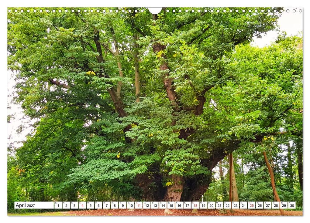 Weitere Ansicht: Samtgemeinde Dörpen im Emsland (Wandkalender 2027 DIN A3 quer), CALVENDO Monatskalender | Claudia Kleemann, Calvendo