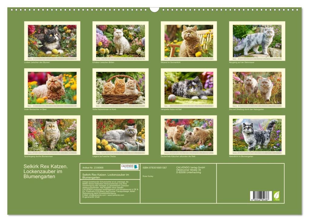 Weitere Ansicht: Selkirk Rex Katzen. Lockenzauber im Blumengarten (Wandkalender 2027 DIN A2 quer), CALVENDO Monatskalender | Rose Hurley, Calvendo
