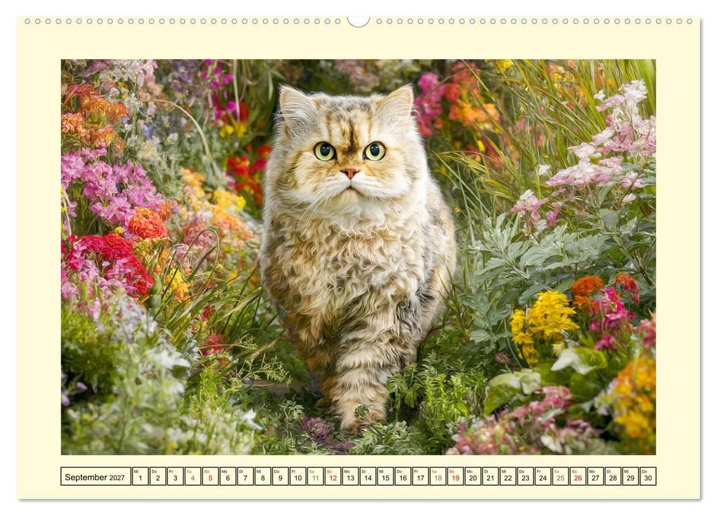 Weitere Ansicht: Selkirk Rex Katzen. Lockenzauber im Blumengarten (Wandkalender 2027 DIN A2 quer), CALVENDO Monatskalender | Rose Hurley, Calvendo