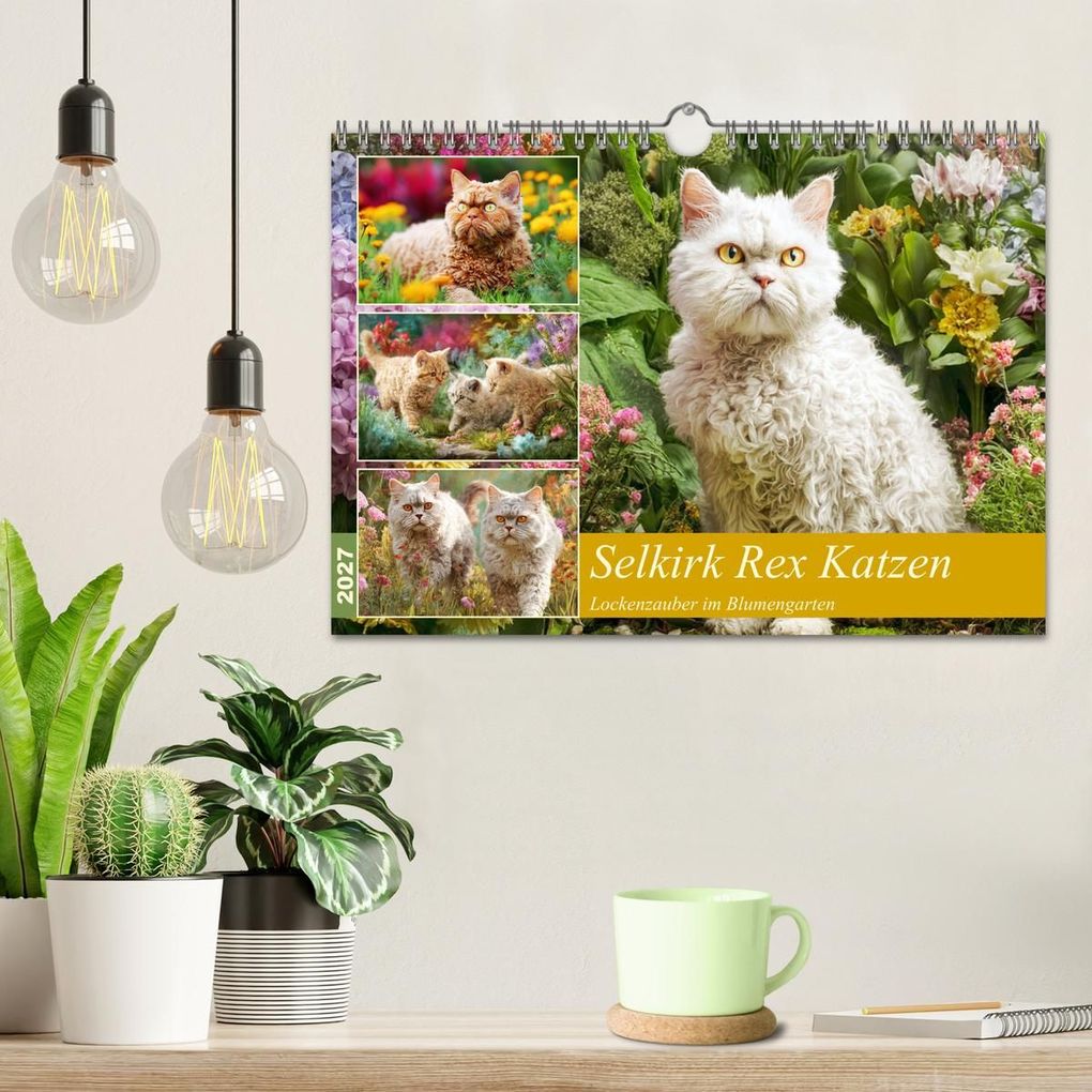 Weitere Ansicht: Selkirk Rex Katzen. Lockenzauber im Blumengarten (Wandkalender 2027 DIN A4 quer), CALVENDO Monatskalender | Rose Hurley, Calvendo