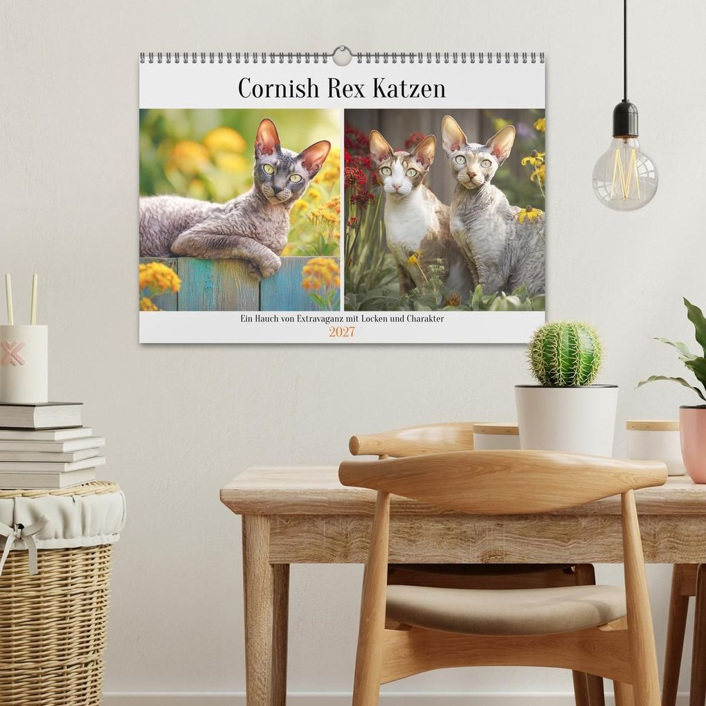 Weitere Ansicht: Cornish Rex Katzen. Ein Hauch von Extravaganz mit Locken und Charakter (Wandkalender 2027 DIN A3 quer), CALVENDO Monatskalender | Rose Hurley, Calvendo