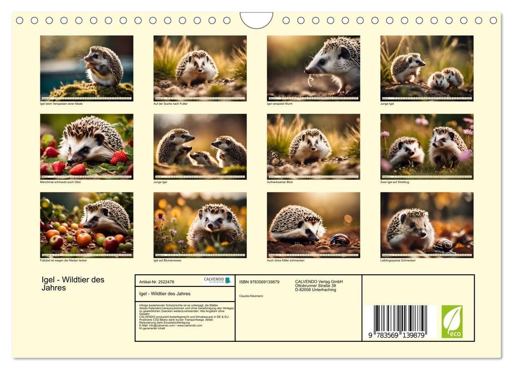 Weitere Ansicht: Igel - Wildtier des Jahres (Wandkalender 2027 DIN A4 quer), CALVENDO Monatskalender | Claudia Kleemann, Calvendo