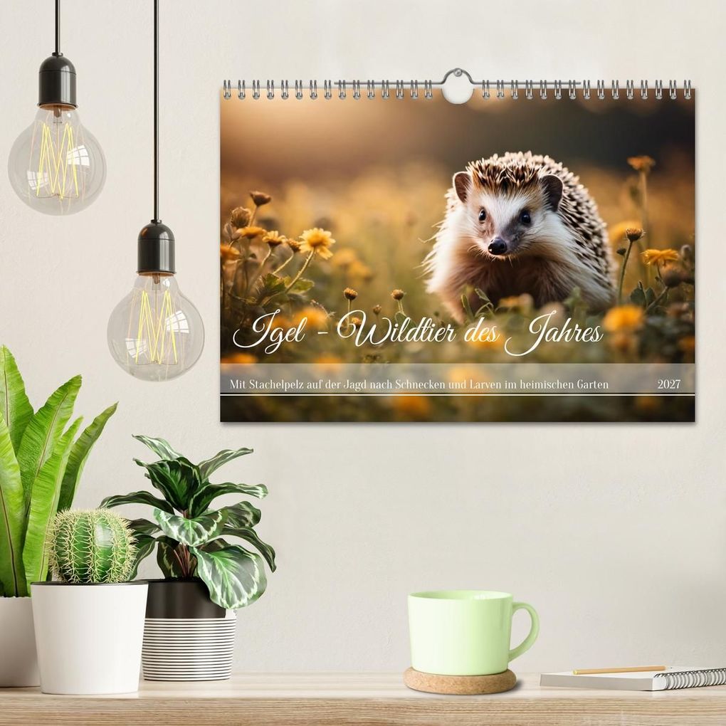 Weitere Ansicht: Igel - Wildtier des Jahres (Wandkalender 2027 DIN A4 quer), CALVENDO Monatskalender | Claudia Kleemann, Calvendo