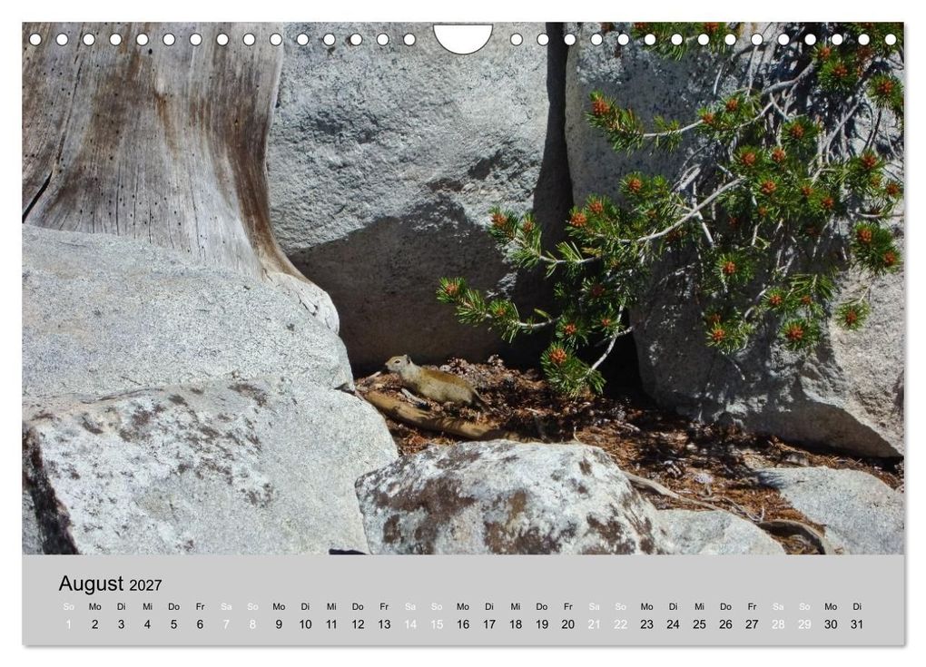 Weitere Ansicht: Yosemite, Entlang der Tioga Road (Wandkalender 2027 DIN A4 quer), CALVENDO Monatskalender | Gisela Will, Calvendo