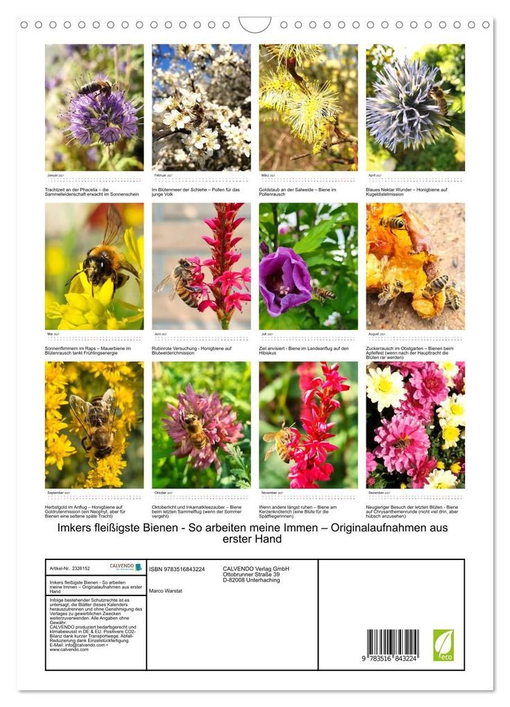 Weitere Ansicht: Imkers fleißigste Bienen - So arbeiten meine Immen - Originalaufnahmen aus erster Hand (Wandkalender 2027 DIN A3 hoch), CALVENDO Monatskalender | Marco Warstat, Calvendo