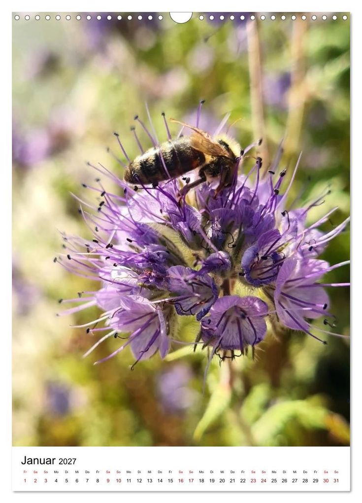 Weitere Ansicht: Imkers fleißigste Bienen - So arbeiten meine Immen - Originalaufnahmen aus erster Hand (Wandkalender 2027 DIN A3 hoch), CALVENDO Monatskalender | Marco Warstat, Calvendo