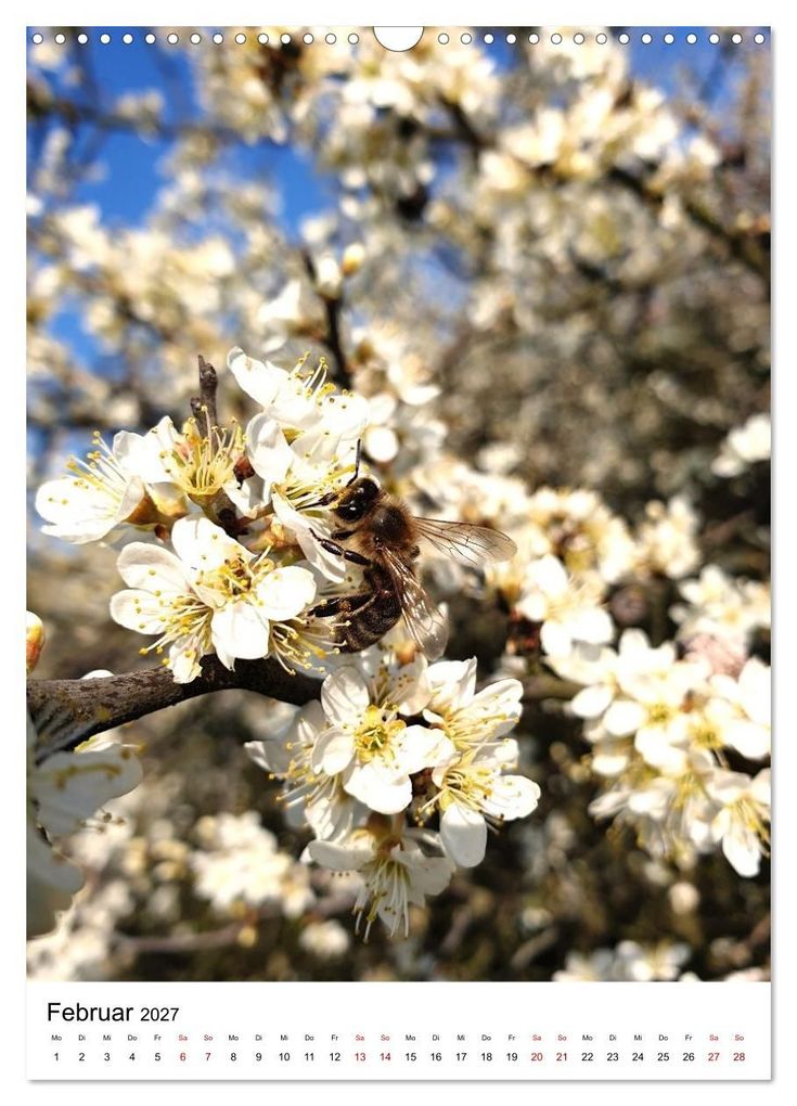 Weitere Ansicht: Imkers fleißigste Bienen - So arbeiten meine Immen - Originalaufnahmen aus erster Hand (Wandkalender 2027 DIN A3 hoch), CALVENDO Monatskalender | Marco Warstat, Calvendo