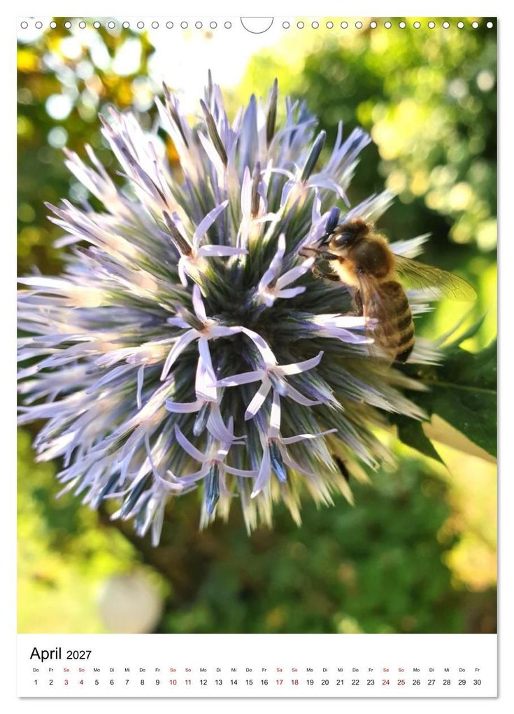 Weitere Ansicht: Imkers fleißigste Bienen - So arbeiten meine Immen - Originalaufnahmen aus erster Hand (Wandkalender 2027 DIN A3 hoch), CALVENDO Monatskalender | Marco Warstat, Calvendo
