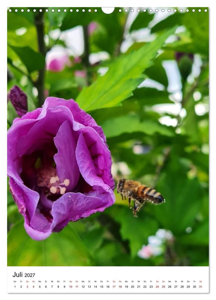 Weitere Ansicht: Imkers fleißigste Bienen - So arbeiten meine Immen - Originalaufnahmen aus erster Hand (Wandkalender 2027 DIN A3 hoch), CALVENDO Monatskalender | Marco Warstat, Calvendo