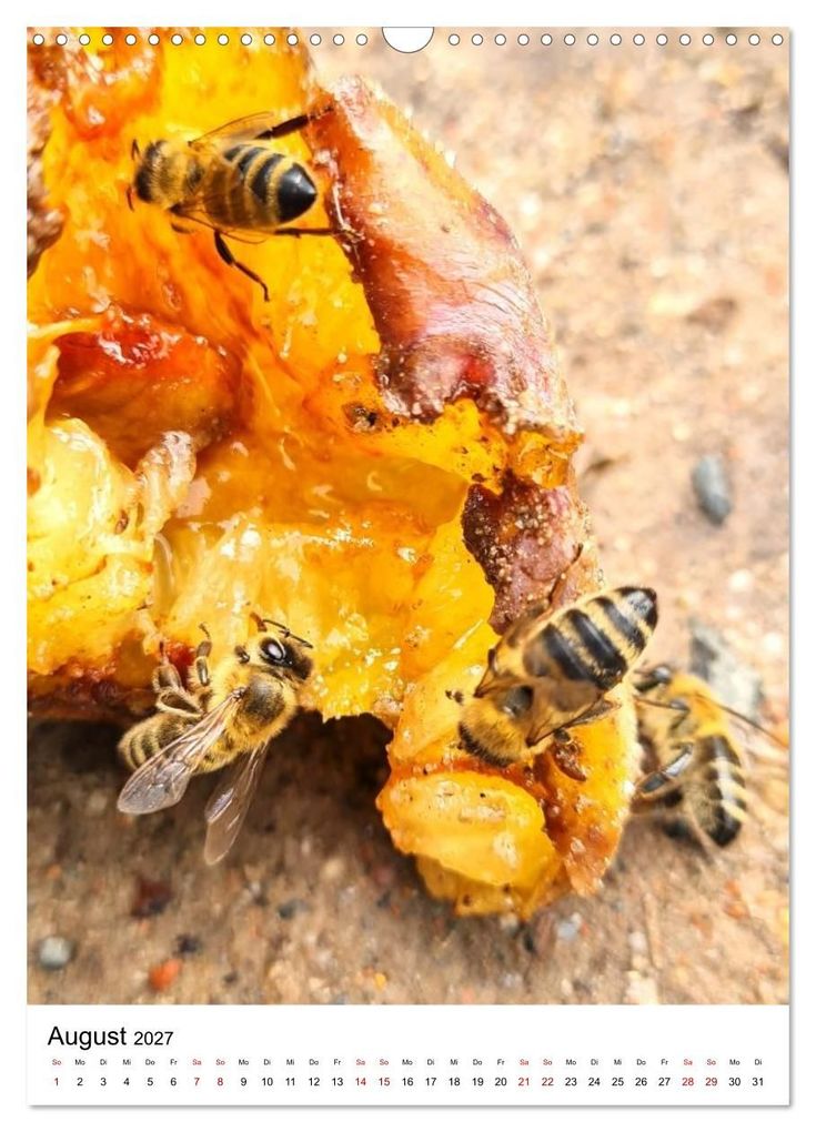 Weitere Ansicht: Imkers fleißigste Bienen - So arbeiten meine Immen - Originalaufnahmen aus erster Hand (Wandkalender 2027 DIN A3 hoch), CALVENDO Monatskalender | Marco Warstat, Calvendo
