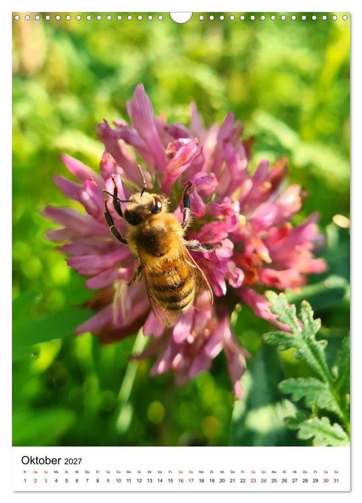 Weitere Ansicht: Imkers fleißigste Bienen - So arbeiten meine Immen - Originalaufnahmen aus erster Hand (Wandkalender 2027 DIN A3 hoch), CALVENDO Monatskalender | Marco Warstat, Calvendo