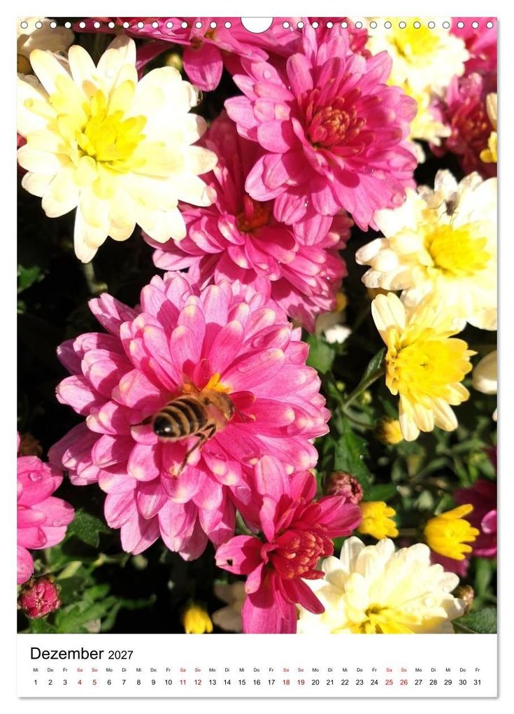 Weitere Ansicht: Imkers fleißigste Bienen - So arbeiten meine Immen - Originalaufnahmen aus erster Hand (Wandkalender 2027 DIN A3 hoch), CALVENDO Monatskalender | Marco Warstat, Calvendo