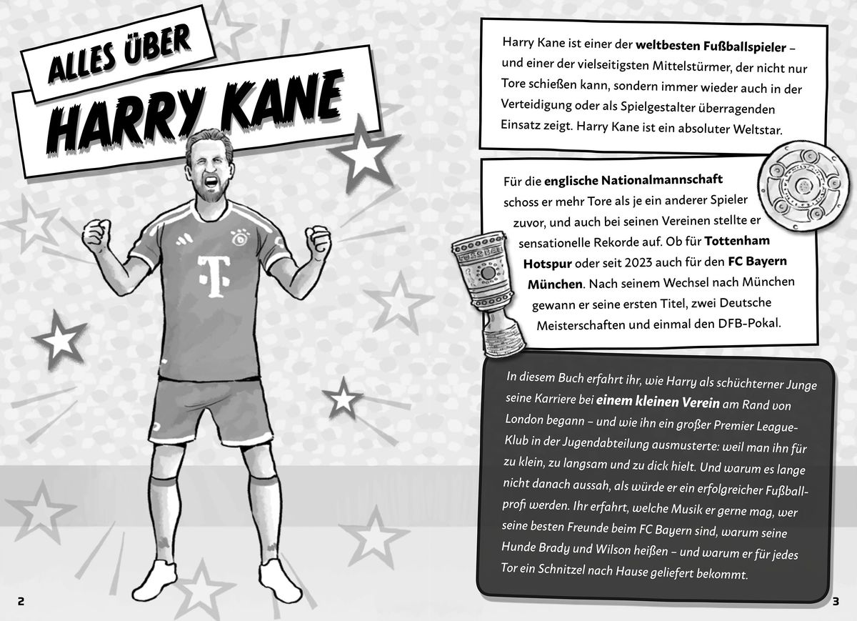 Weitere Ansicht: Mein Fußballheld Harry Kane - Seine Geschichte, seine Spiele, seine Rekorde | Florian Kinast