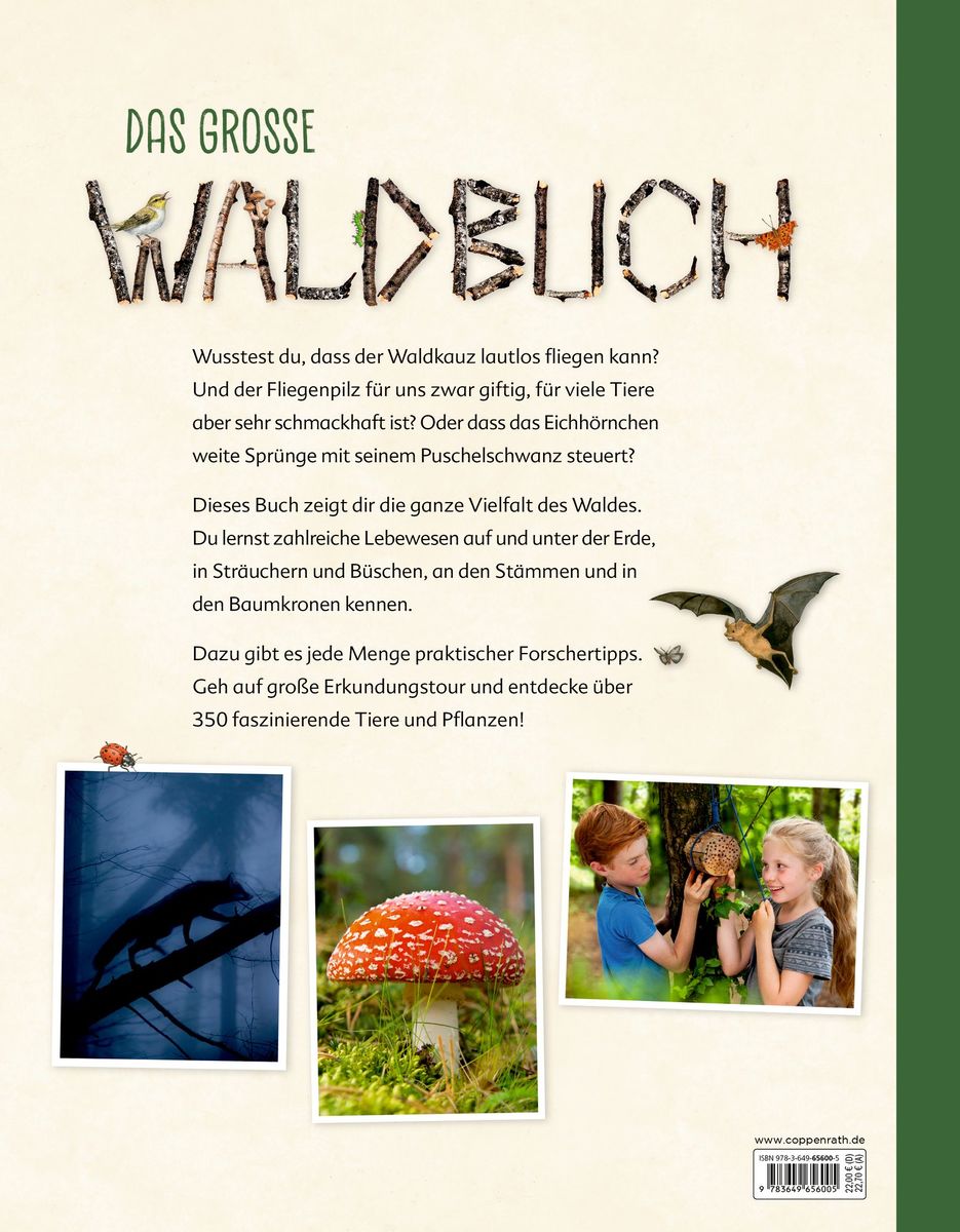 Weitere Ansicht: Das große Waldbuch | Bärbel Oftring, Holger Haag