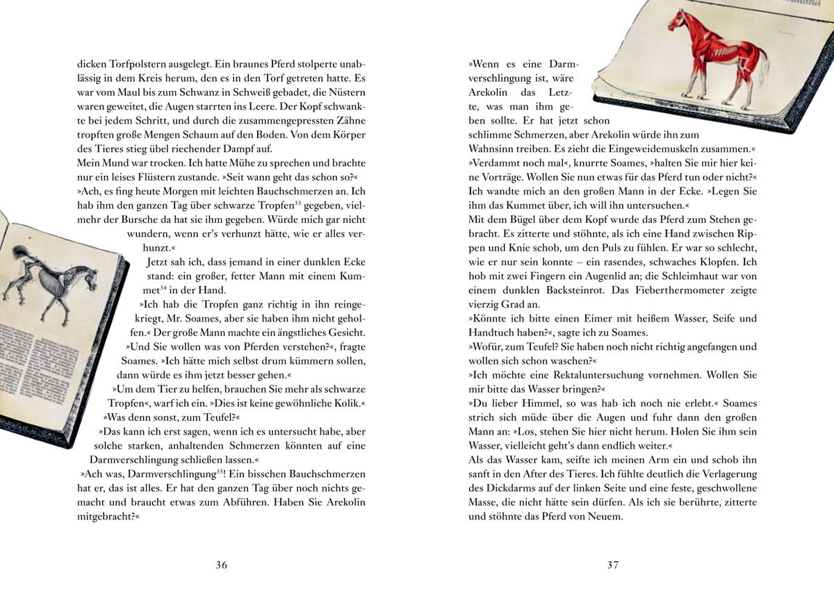 Weitere Ansicht: Der Doktor und das liebe Vieh | James Herriot
